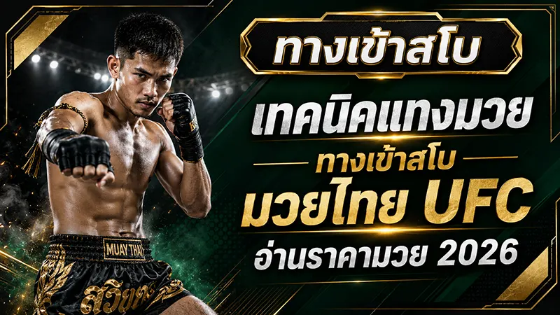 เทคนิคแทงมวย ทางเข้าสโบ มวยไทย UFC อ่านราคามวย 2026